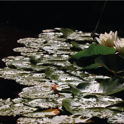 Exposition des photographies de Sadie Keller