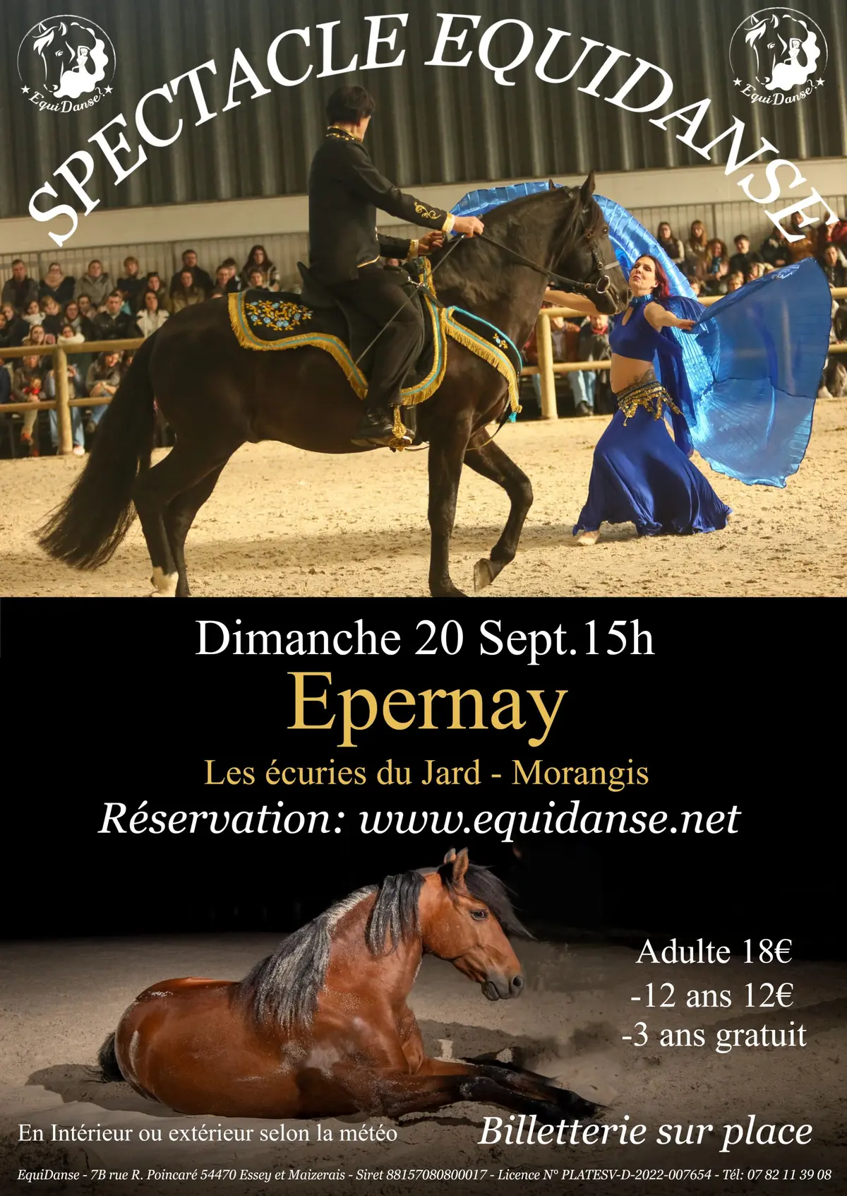 Spectacle Equestre EquiDanse 
