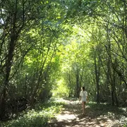 Découverte d'une zone refuge remarquable : flore et faune des digues du Rhin