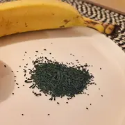 Atelier découverte : les bienfaits de la spiruline