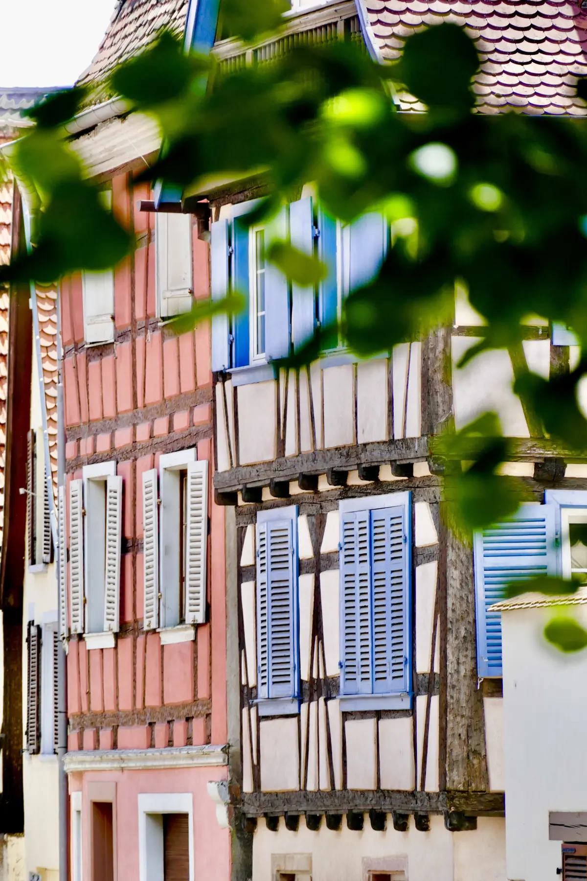 Les corporations de Sélestat