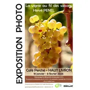 Exposition de photos  La vigne au fil des saisons 