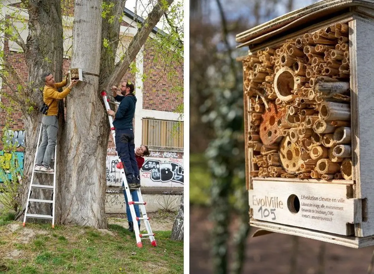 Observer la nature au CNRS