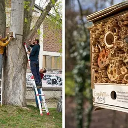 Observer la nature au CNRS