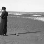 Soirées à la Bonne Heure Le Terrier