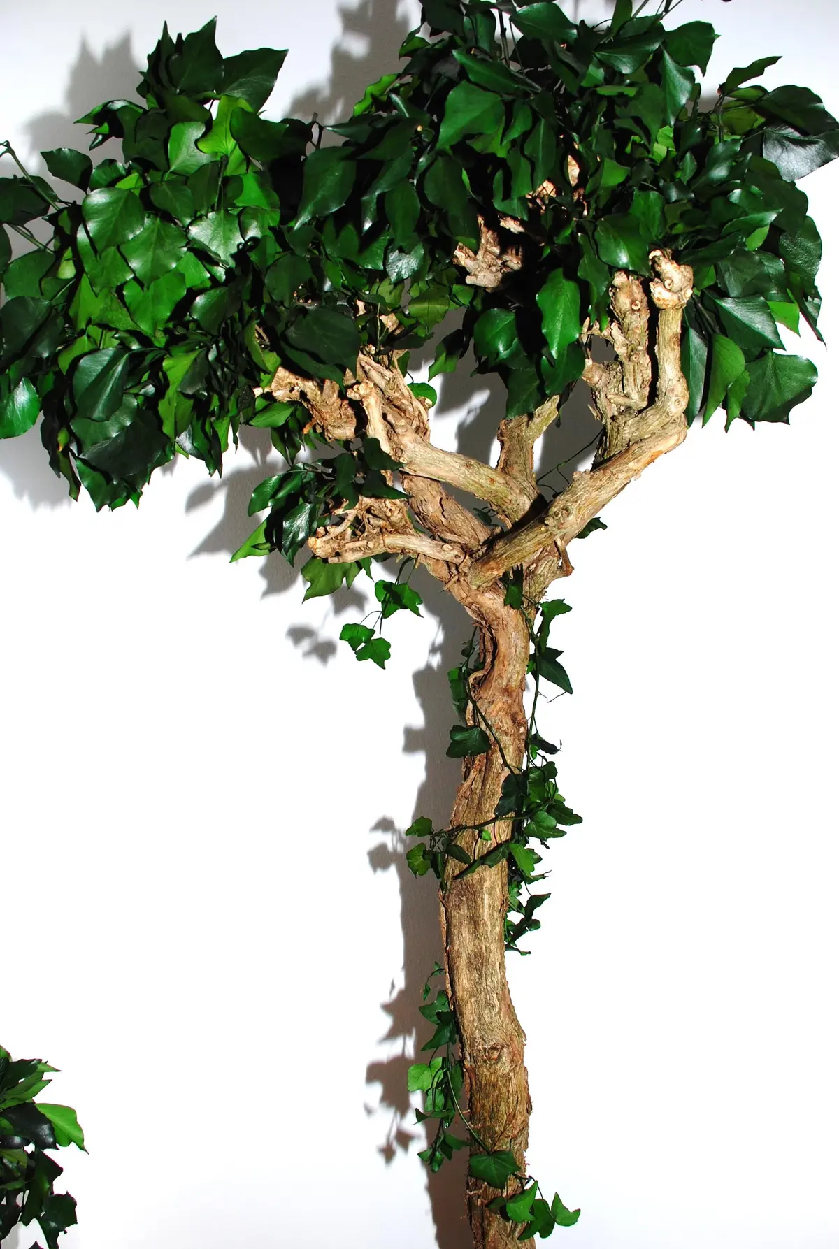 Jardin des temps Modernes - JTM