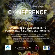 Conférence : Inventaire sur la biodiversité portuaire… à l'ombre des pontons