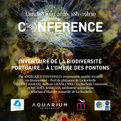 Conférence : Inventaire sur la biodiversité portuaire… à l'ombre des pontons