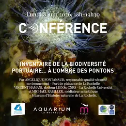 Conférence : Inventaire sur la biodiversité portuaire… à l'ombre des pontons