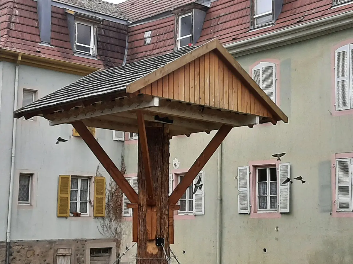 Oiseaux des villes et hôtel à hirondelles