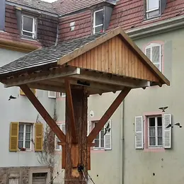 Oiseaux des villes et hôtel à hirondelles
