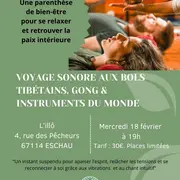 Voyage sonore & bain de gong