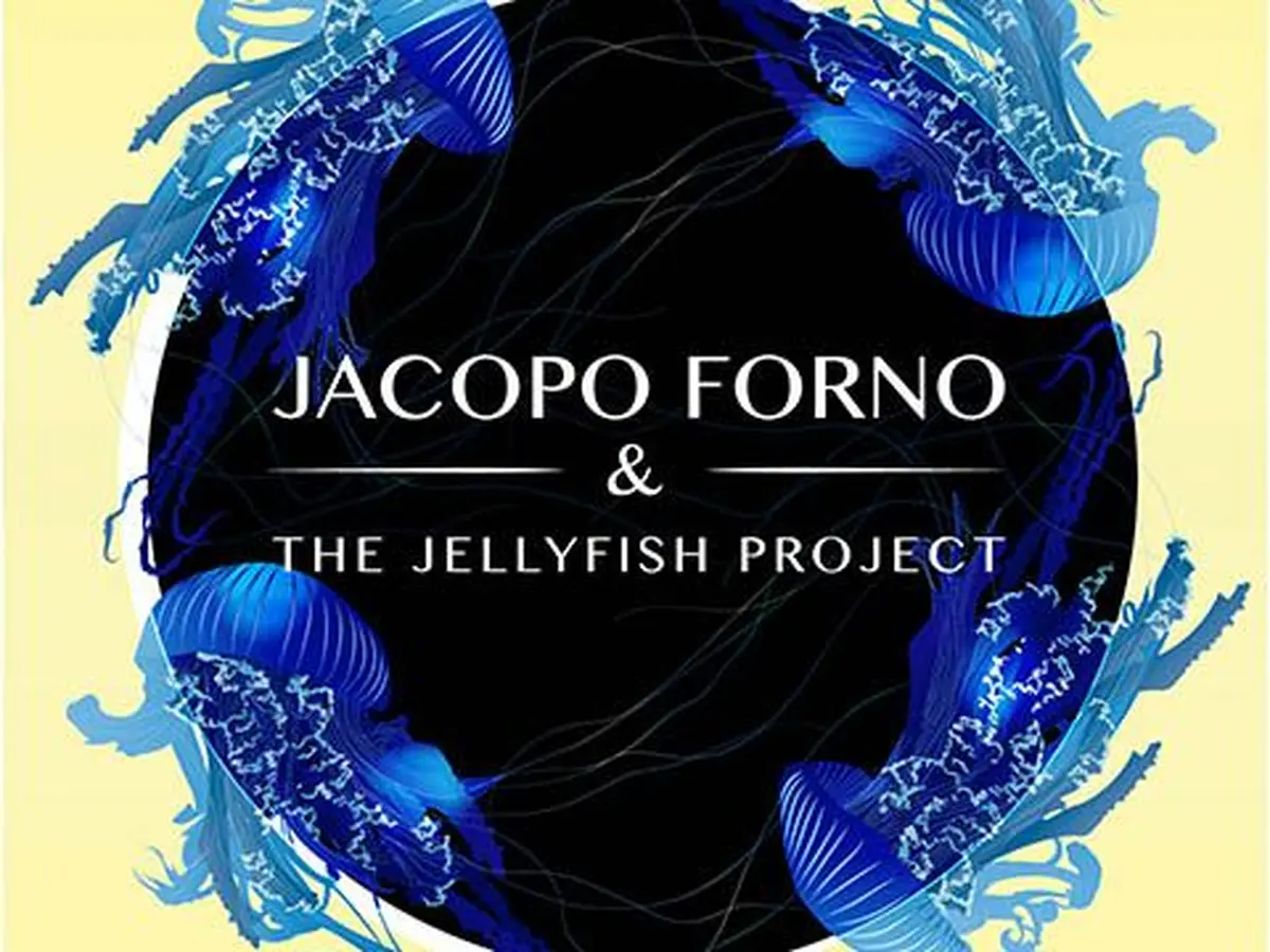 Jellyfish Project Sortie du 1er album
