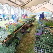 Foire aux plantes et produits locaux de guisseny 