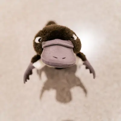Visite tout-petits | Le voyage de Platypus