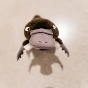 Visite tout-petits | Le voyage de Platypus