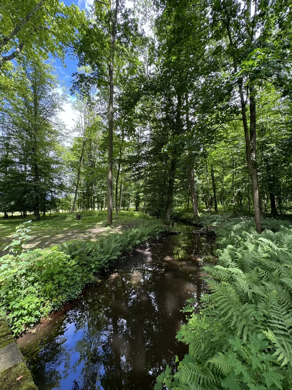 Découverte de la nature dans le val de Villé 