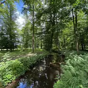 Découverte de la nature dans le val de Villé 