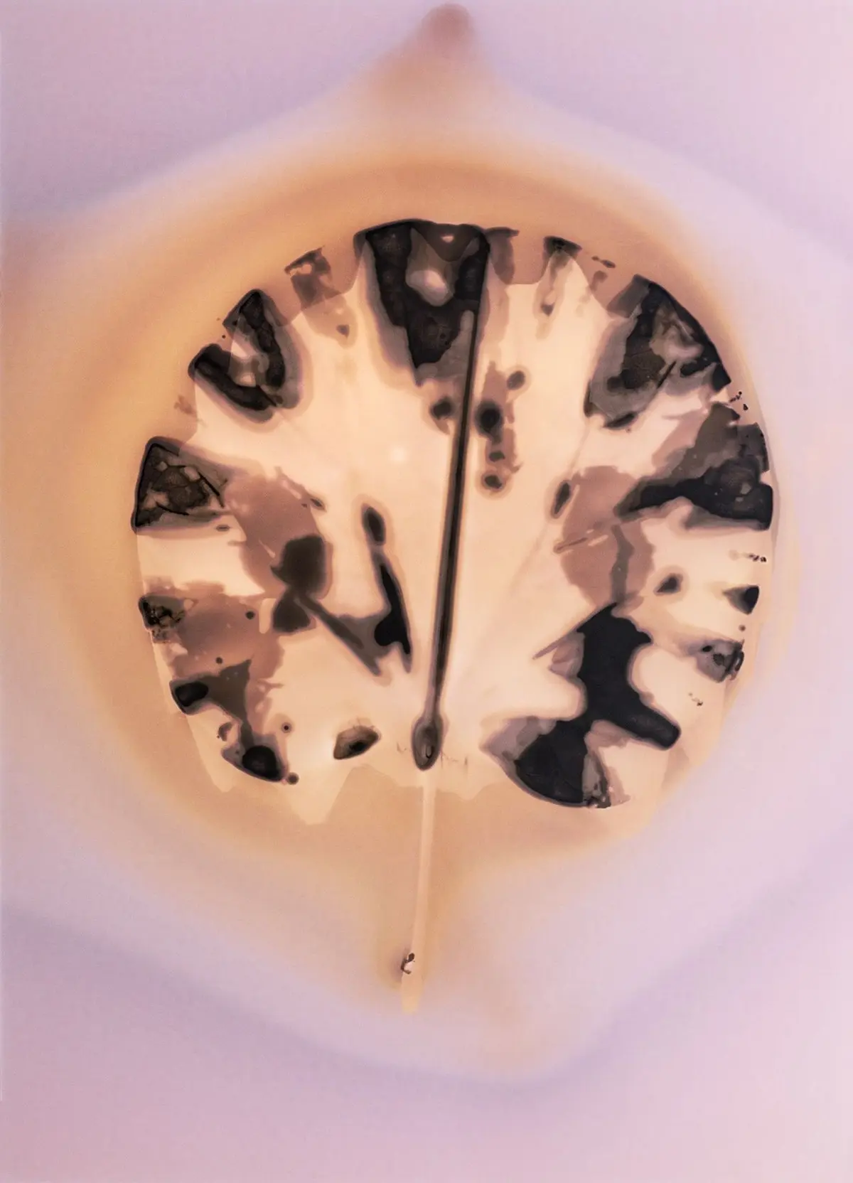 Stage vacances enfants 6-11 ans — Expérimentation végétale