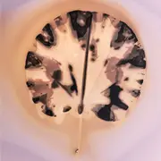 Stage vacances enfants 6-11 ans — Expérimentation végétale