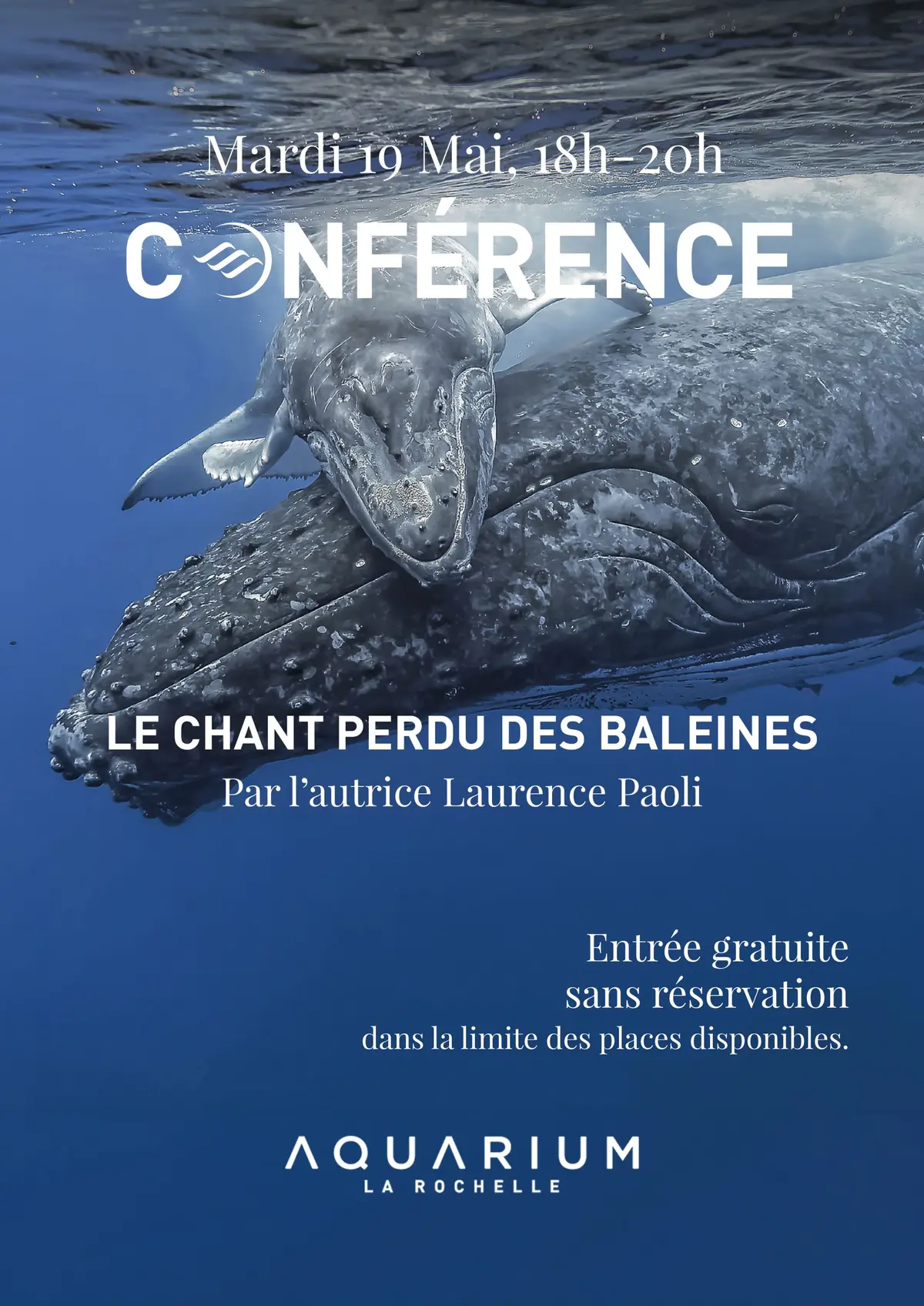 Conférence : Le chant perdu des baleines par l’autrice Laurence Paoli