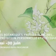 Petites botaniques, fausses planches… interprétation personnelle et poétique. Marie-Dominique Guth-Procureur