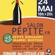 Salon pépite 