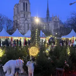 Marché de Noël Paris Notre Dame