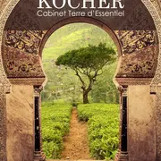 Sophie Kocher - Terrre d'Essentiel - Art Thérapeute