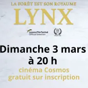 Lynx’ de Laurent Geslin