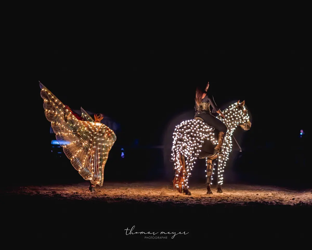 Spectacle équestre À la recherche de l’étoile des vœux