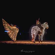 Spectacle équestre À la recherche de l’étoile des vœux