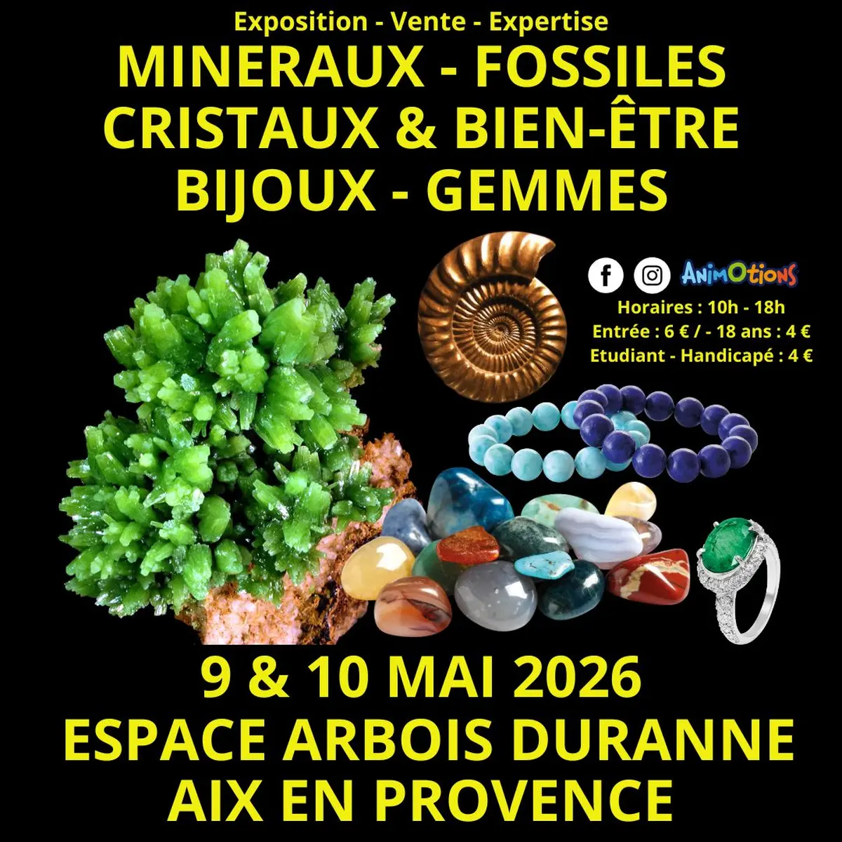 Salon Minéraux Fossiles Cristaux Bijoux Gemmes + Expo l’Histoire de nos Ancêtres