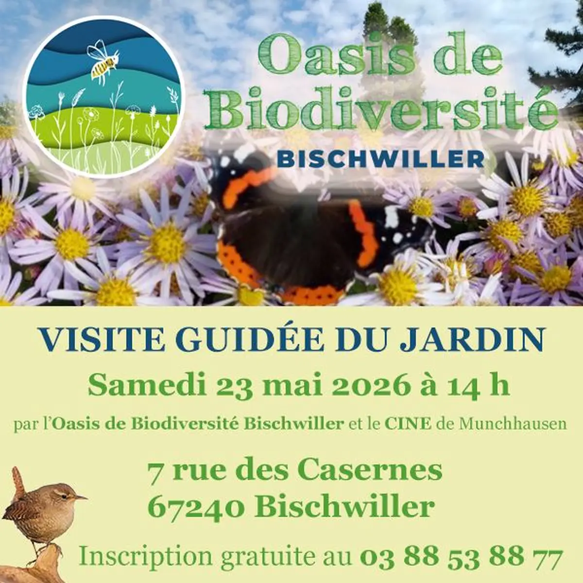 Visite guidée du jardin Oasis de Biodiversité Bischwiller