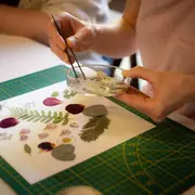 Atelier de création d'un herbier