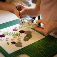 Atelier de création d'un herbier &copy; Materia Prima