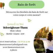 Sortie nature bain de forêt