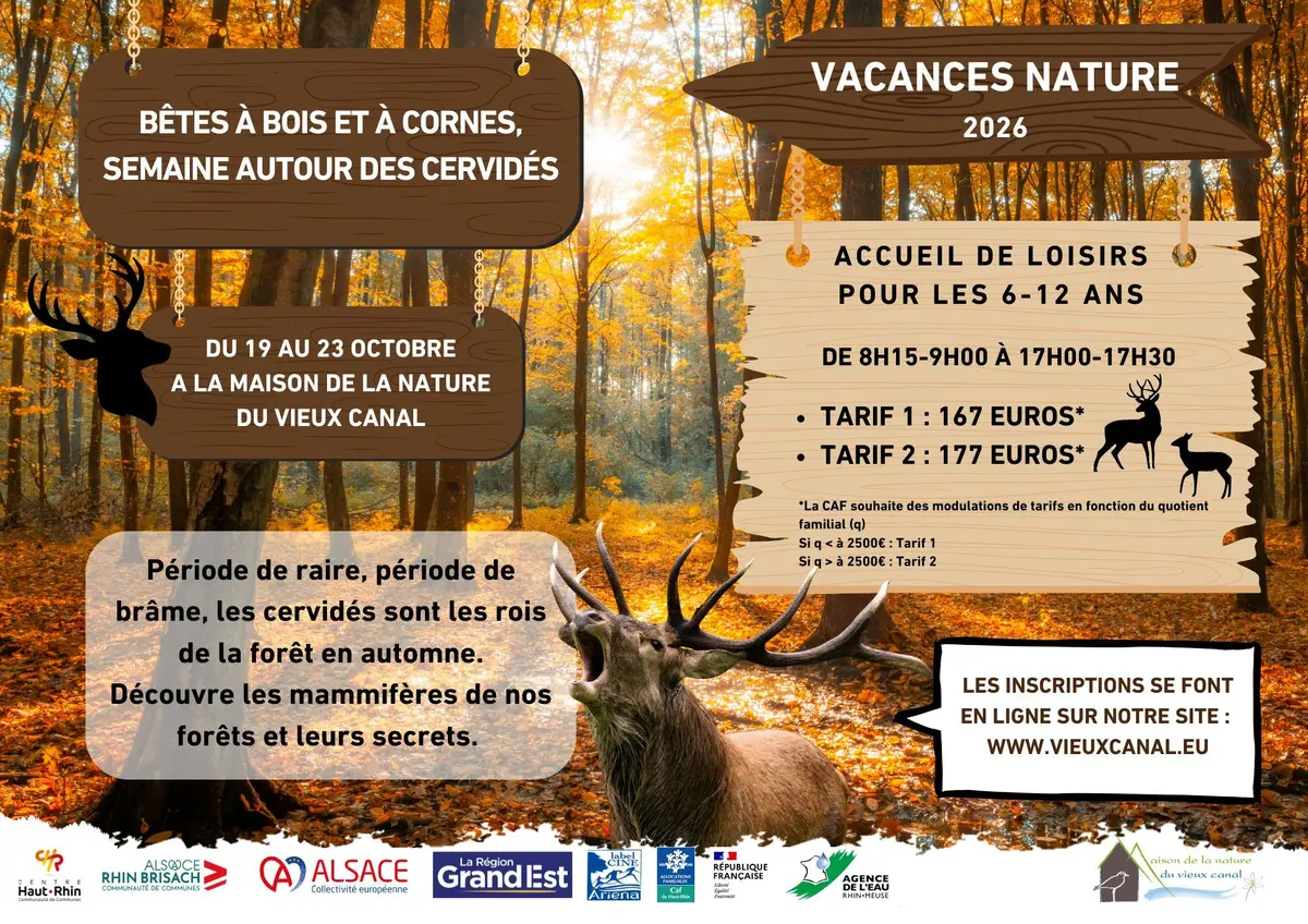 Bêtes à bois et à cornes, semaine autour des cervidés