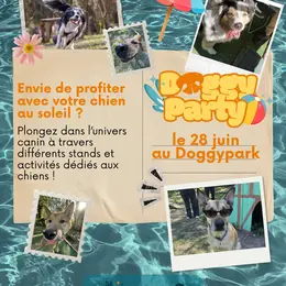 Doggyparty
