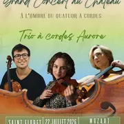 À l’ombre du quatuor à cordes. LES GRANDS TRIOS À CORDES