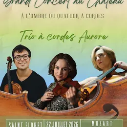 À l’ombre du quatuor à cordes. LES GRANDS TRIOS À CORDES