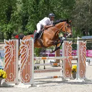 Concours hippique d'entraînement