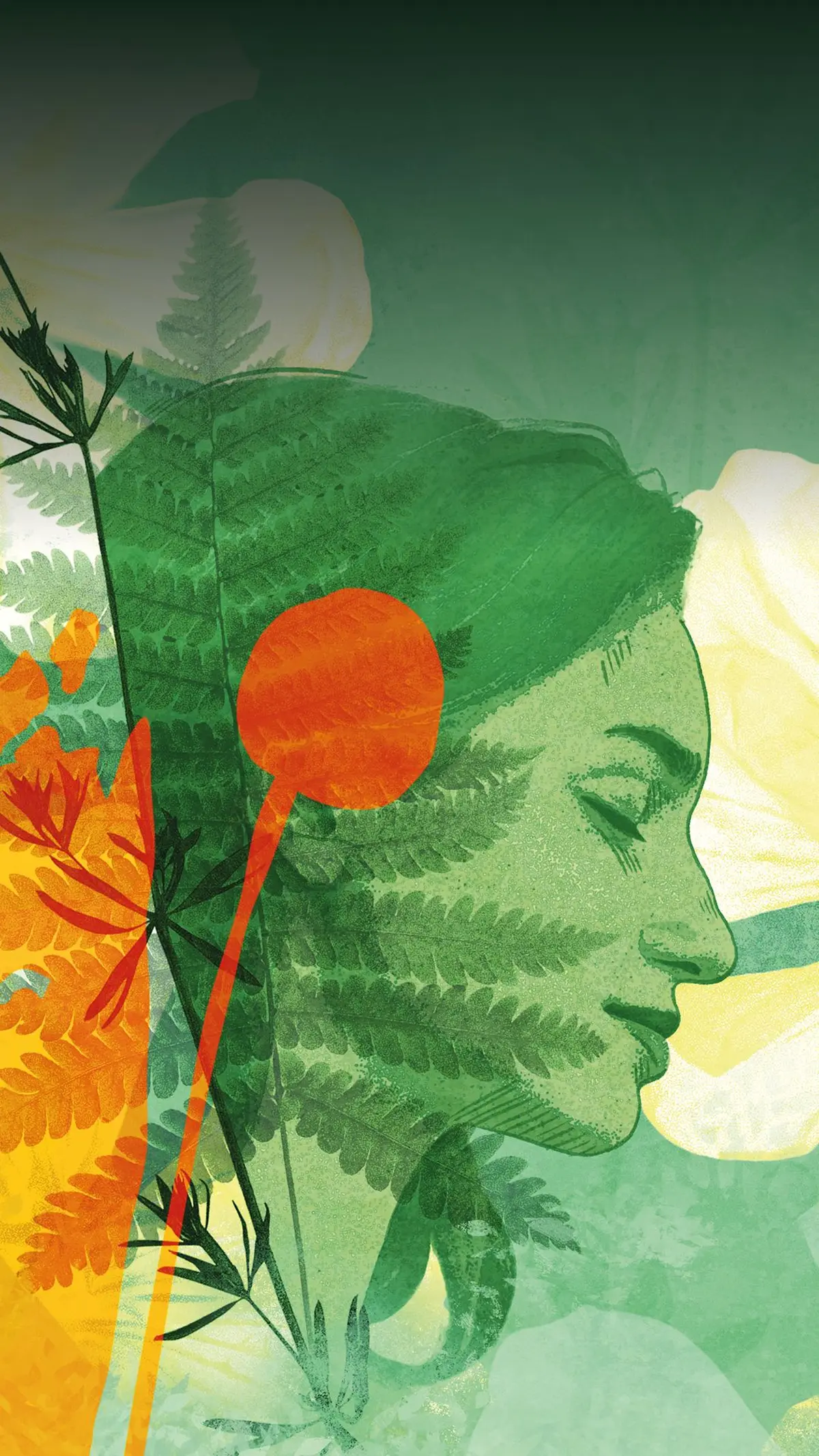 Herbarium - Festival Nature & Herbes