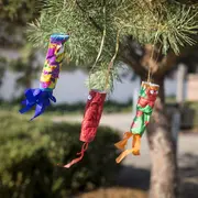 Visite-atelier Carpe-en-ciel