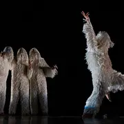 A4 (comme la feuille) 