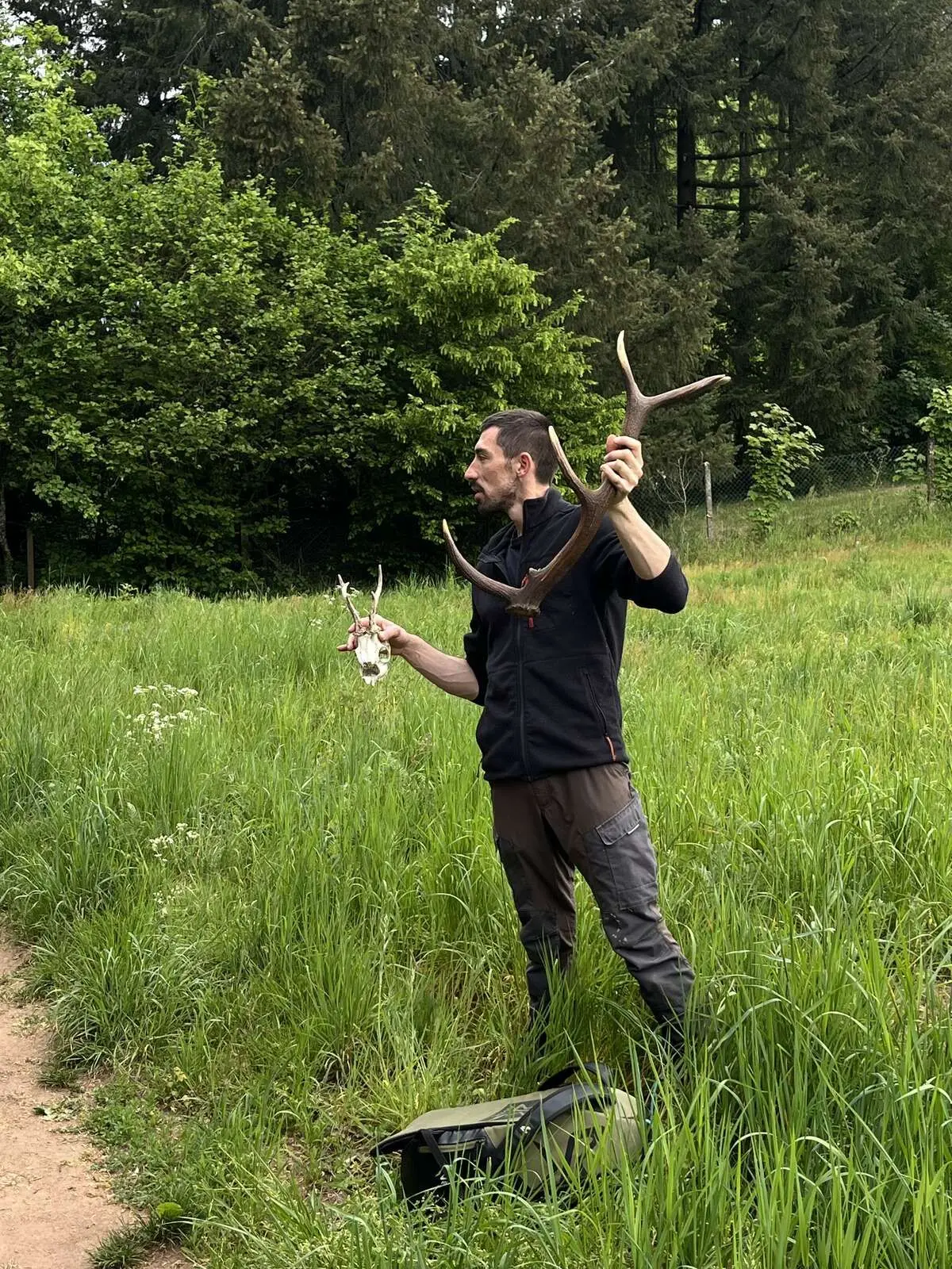 Balade nature, explorez la forêt autour de La Petite Pierre