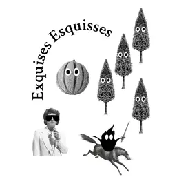 Exquises Esquisses - les présentations publiques