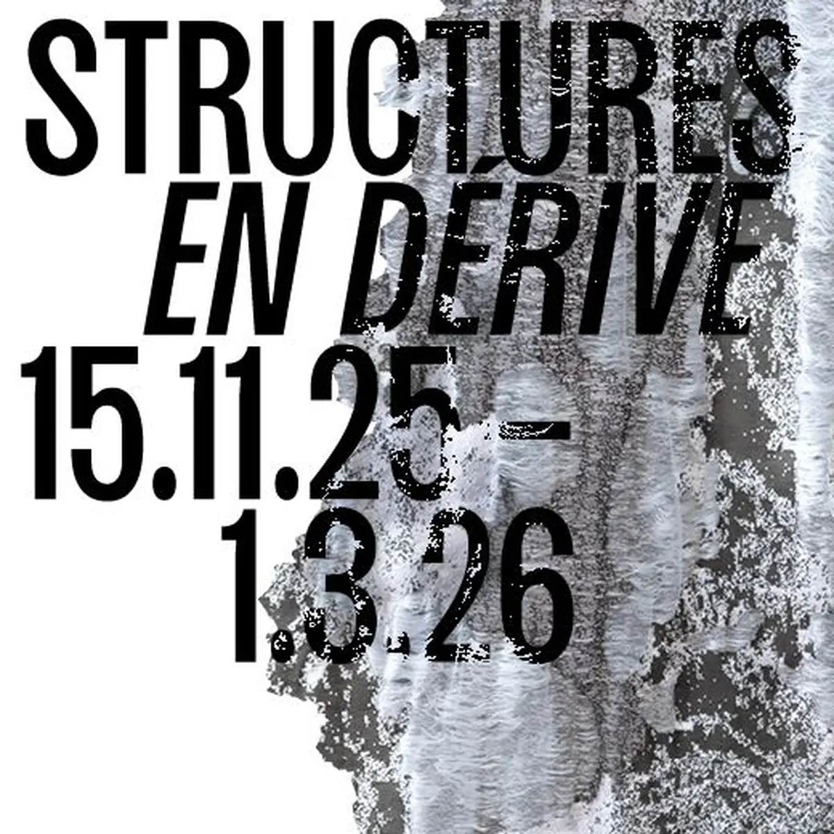 Visite guidée par la conservatrice - exposition Structures en dérive