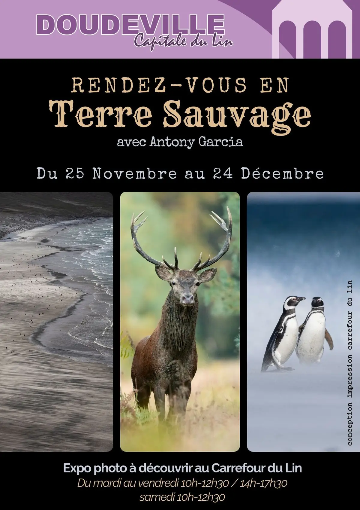 Rendez vous en terre sauvage