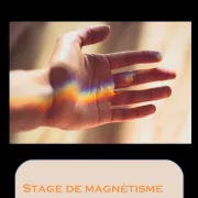 Stage de Magnétisme